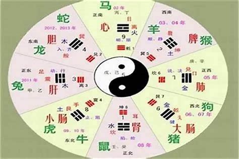 彬五行|彬字的五行属性